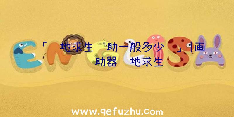 「绝地求生辅助一般多少钱」|画质辅助器绝地求生